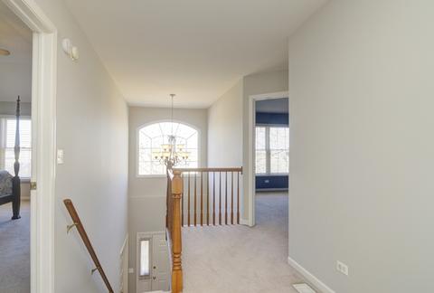 15161 Hamlin St, Plainfield, IL 60544 photo 39