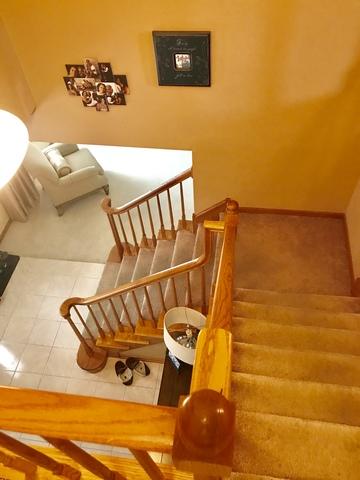 2931 Monterey Dr E, Flossmoor, IL 60422 photo 22