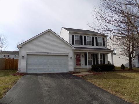2519 Sierra Ave, Plainfield, IL 60586 photo 33