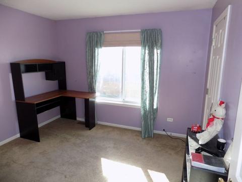 2519 Sierra Ave, Plainfield, IL 60586 photo 20