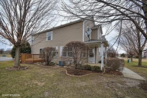 4208 Rivertowne Ct, Plainfield, IL 60586 photo 22