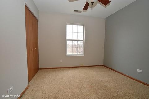 4208 Rivertowne Ct, Plainfield, IL 60586 photo 14