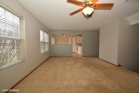 4208 Rivertowne Ct, Plainfield, IL 60586 photo 4
