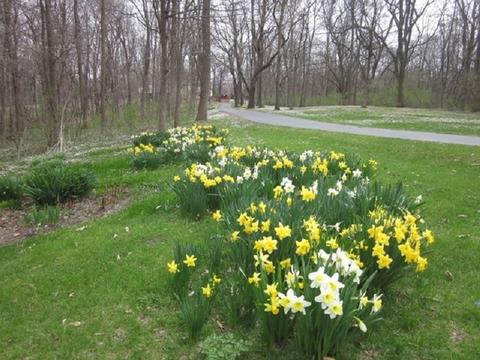 16911 Tanglewild Dr, Morrison, IL 61270 photo 51