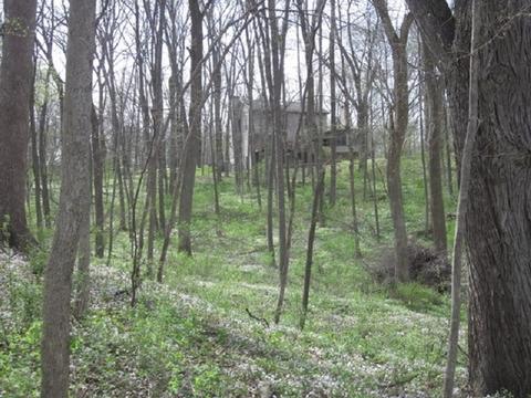 16911 Tanglewild Dr, Morrison, IL 61270 photo 47