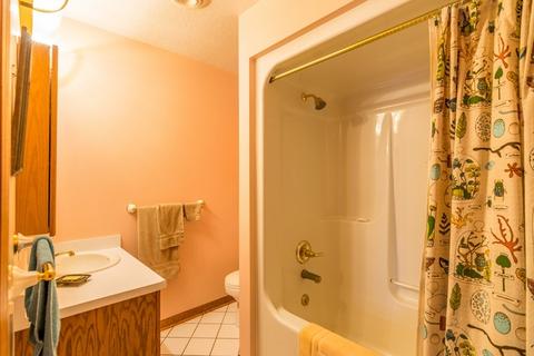 16911 Tanglewild Dr, Morrison, IL 61270 photo 38