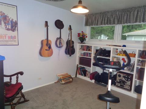 2001 Paddock Ct, Wheaton, IL 60187 photo 12