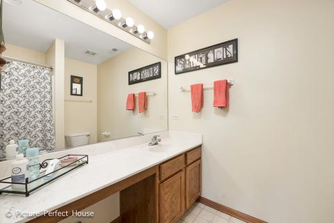 1432 Sedge Pass, Minooka, IL 60447 photo 20