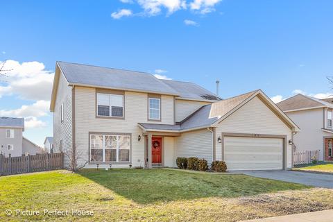1432 Sedge Pass, Minooka, IL 60447 photo 1