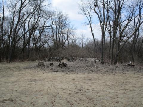 6909 Schultz Rd, Harvard, IL 60033 photo 5