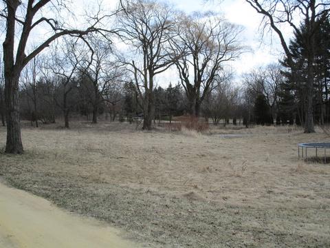 6909 Schultz Rd, Harvard, IL 60033 photo 4