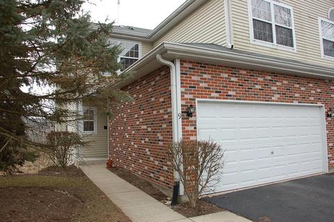 9 Brian Ct, Algonquin, IL 60102 photo 23