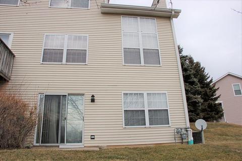 9 Brian Ct, Algonquin, IL 60102 photo 21
