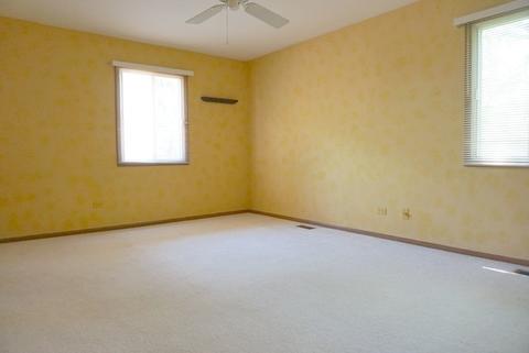 1933 Lisson Rd, Naperville, IL 60565 photo 10