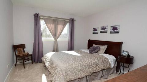 1235 Freeman Rd, Hoffman Estates, IL 60192 photo 13