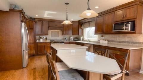 1235 Freeman Rd, Hoffman Estates, IL 60192 photo 5