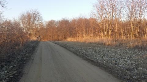 3508 E Flagg Rd, Ashton, IL 61006 photo 14