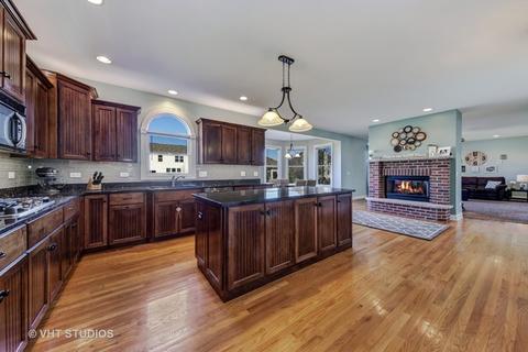 24924 Chalk Hill Ct, Plainfield, IL 60544 photo 3