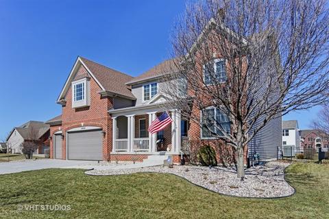 24924 Chalk Hill Ct, Plainfield, IL 60544 photo 1