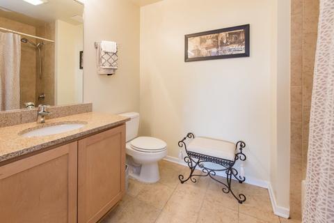 1 E 8th St #610, Chicago, IL 60605 photo 15