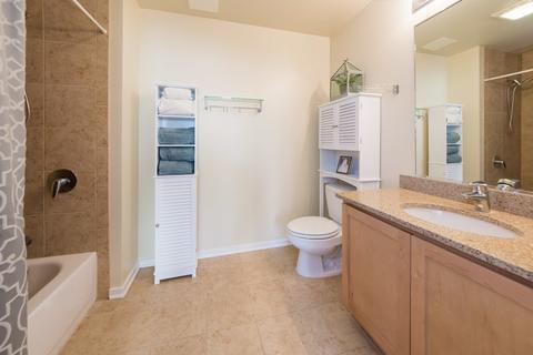 1 E 8th St #610, Chicago, IL 60605 photo 18
