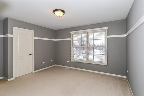 3577 Wetlands Dr, Elgin, IL 60124 photo 24