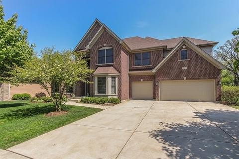 3577 Wetlands Dr, Elgin, IL 60124 photo 1