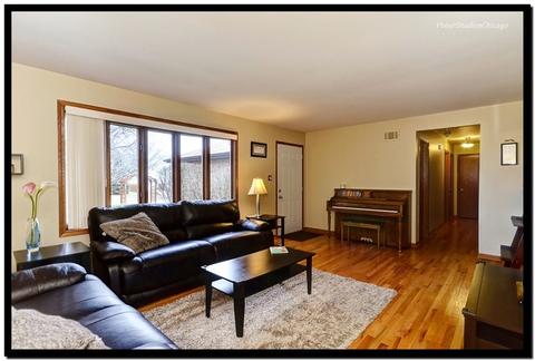 3001 Art Schultz Dr, Plainfield, IL 60586 photo 8