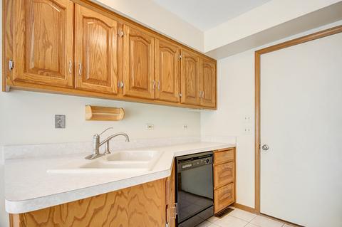 4847 144th Ct, Midlothian, IL 60445 photo 9
