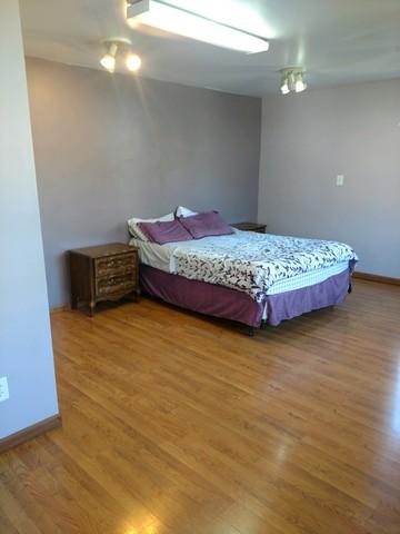 316 E Main St, Peotone, IL 60468 photo 12