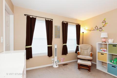 13709 Marigold Rd, Plainfield, IL 60544 photo 12
