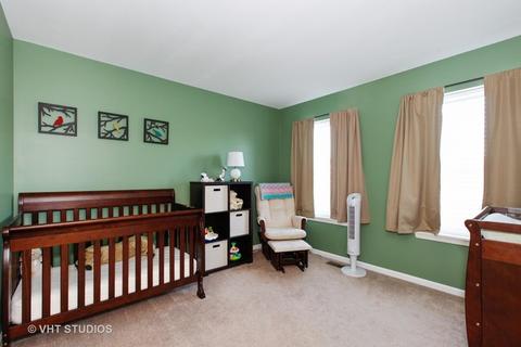 13709 Marigold Rd, Plainfield, IL 60544 photo 11