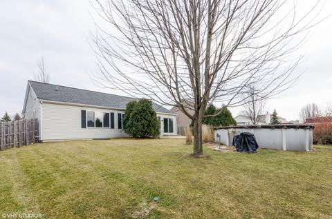 1104 Sawmill Ln, Algonquin, IL 60102 photo 25