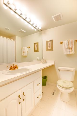 13 Birch Tree Ct, Elmhurst, IL 60126 photo 20
