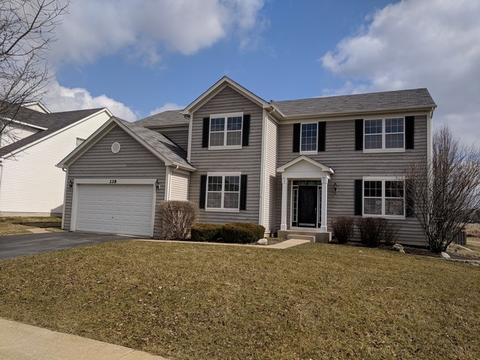228 Loradale Rd, Oswego, IL 60543 photo 1