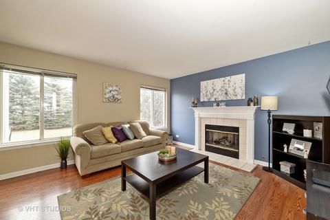 871 Tallgrass Dr, Bartlett, IL 60103 photo 7