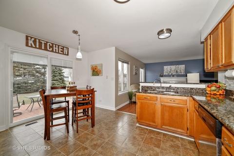 871 Tallgrass Dr, Bartlett, IL 60103 photo 4