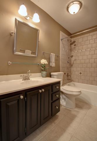 816 W Appletree Ln, Bartlett, IL 60103 photo 23
