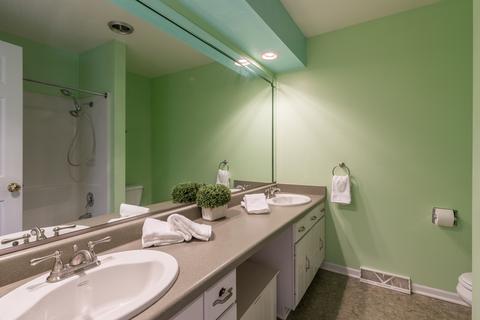 1437 Creekside Dr, Wheaton, IL 60189 photo 20