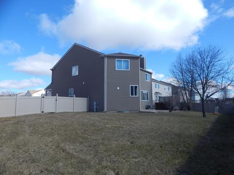 6520 Glacier Ridge Dr, Plainfield, IL 60586 photo 28