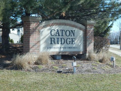 6520 Glacier Ridge Dr, Plainfield, IL 60586 photo 30