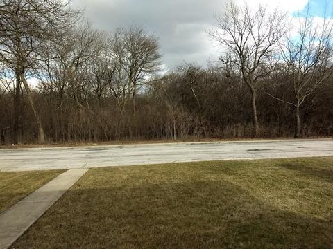 3004 Forest Ave, Brookfield, IL 60513 photo 36