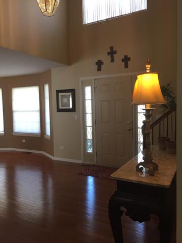 2914 Horizon Ct, Plainfield, IL 60586 photo 7