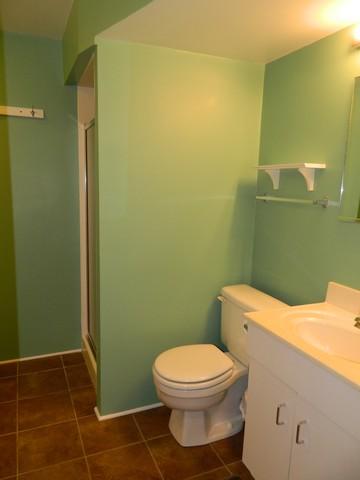 236 Westmere Rd, Des Plaines, IL 60016 photo 14