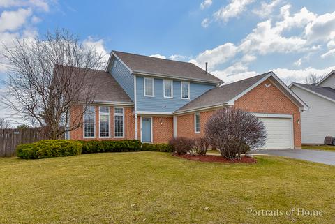 1 Springbrook Ct, Bolingbrook, IL 60490 photo 1