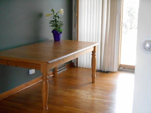 1070 Houston Ave, Elgin, IL 60120 photo 6