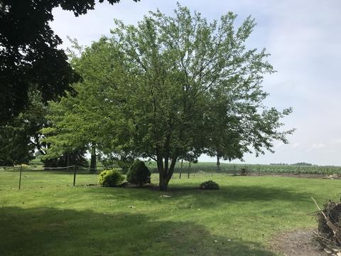 232 W Walnut St, Compton, IL 61318 photo 29