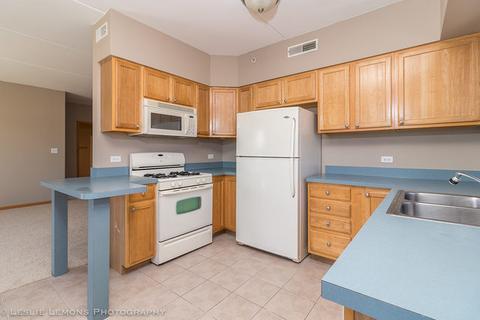 19806 Wolf Rd #204, Mokena, IL 60448 photo 7