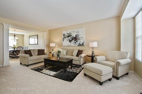 12417 Blue Iris Ln, Plainfield, IL 60585 photo 4