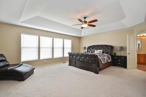 12417 Blue Iris Ln, Plainfield, IL 60585 photo 12